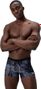 Speedo Valmilton Allover Grey Swimsuit for Men