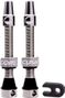 Valvole CushCore Tubeless 55 mm Argento