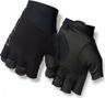 Short Gloves Giro Zero CS Black