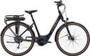 Vélo de Ville Électrique Trek Verve+ 2 Lowstep Shimano Altus 9V 500 Wh Azure