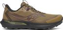 Saucony Peregrine 15 Marrone/Nero Scarpe da trail da uomo