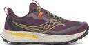 Wandelschoenen Saucony Peregrine 15 Violet Heren
