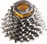 Primato Campagnolo 10V 13/29 T