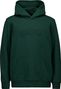 Sudadera con capucha para niños Poc Poc Hood Jr Green