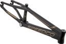 Cadre Speedco M2 Pro 5XL Noir / Or Mat