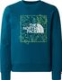 The North Face Teen New Graphic Crew Sweat Blue