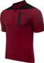 LeBram Parpaillon Gravel Short Sleeve Jersey Gray Burgundy Straight Cut