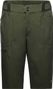 Gore Wear Passion Olive Shorts
