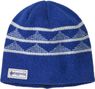 Mütze von Patagonia, Modell „Cinder“, blau