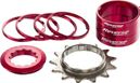 Kit Single Speed Reverse Red / Pignone 13 denti rossi