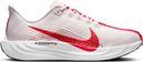 Nike Pegasus Plus Hardloopschoenen Grijs/Rood Heren