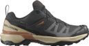 Salomon X Ultra 360 GTX Hiking Shoes, Gray, Men's