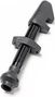 DT Swiss Presta Aero Tubeless Valve