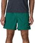 Short Patagonia Baggies 5 In. Vert Homme