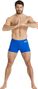 Maillot de Bain Arena Arena Team Swim Short Solid Bleu