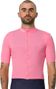 Maillot Manches Courtes Rapha Brevet Element Rose Homme
