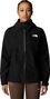 The North Face Dryzzle Futurelight II Waterproof Jas Zwart Dames