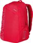 Basil Flex Bicycle Backpack 17 L Red