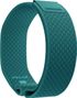 Polar Loop SoftWeave Bands Nordic Teal