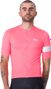 Men's Rapha Core Pink/White Short Sleeve Jersey