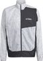 Windjacke adidas Terrex Trail Weiß