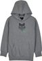 Sudadera con capucha DisputeGris para niños