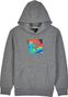 Scans Pullover Hoodie Child Grey