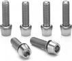 Ritchey Titanium Stem Bolt Set Silver (6 viti)