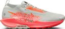 Scarpa Nike Pegasus Trail 5 GTX Grigio/Arancione Uomo