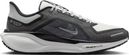 Nike Pegasus 41 GTX Grey/White Running Shoes for Men