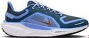 Nike Pegasus 41 GTX Bleu Femme Running Shoes