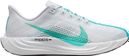 Nike Pegasus Plus Laufschuh Grau Blau Herren