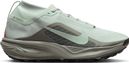 Chaussures Trail Nike ACG Pegasus Trail GTX Gris/Orange Homme