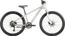 Raymon Nayta 26 Pro Kinder-Mountainbike, Shimano 8-Gang, 26 Zoll, grau
