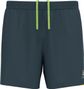 Odlo Zeroweight Running Shorts 5 Inch Grey
