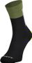 Scott Block Stripe Crew Socks - Black/Green