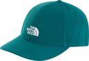 Casquette The North Face 66 Flashdry Vert