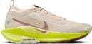 Chaussures Trail Nike Pegasus Trail 5 GTX Beige/Vert Femme