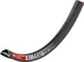 Cerchio DT Swiss XM 481 Disc 29 '' nero