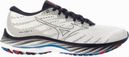 Hardloopschoenen Wave Rider 26 Wit Heren