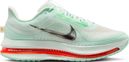 Chaussures Running Nike Pegasus Premium Vert Homme
