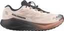 Chaussures Running Salomon Aero Blaze 4 GRVL GTX Beige/Marron Homme