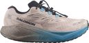 Chaussures Running Salomon Aero Blaze 4 GRVL GTX Beige/Bleu Homme