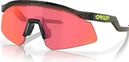 Oakley Hydra Olive Ink / Prizm Trail Torch Goggles / Ref: OO9229-1637