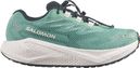 Chaussures Running Salomon Aero Blaze 4 GRVL GTX Vert Femme
