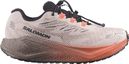 Chaussures Running Salomon Aero Blaze 4 GRVL GTX Beige/Rose Femme
