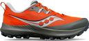 Chaussures de Trail Running Saucony Peregrine 14 Rouge Gris