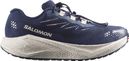 Chaussures Running Salomon Aero Blaze 4 GRVL GTX Bleu/Blanc Homme
