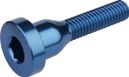 Vis de capot de direction Burgtec Top Cap Bolt Bleu