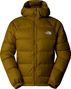 The North Face Hydrenalite Hoodie Down Jacket Green